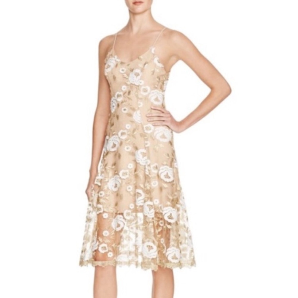 Dress the Population Fit and Flare Embroidered Dress